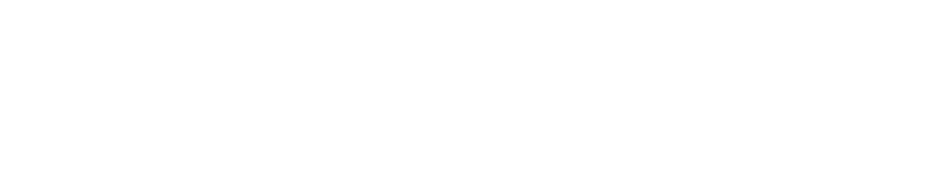 Access（SQL Server）development specialists